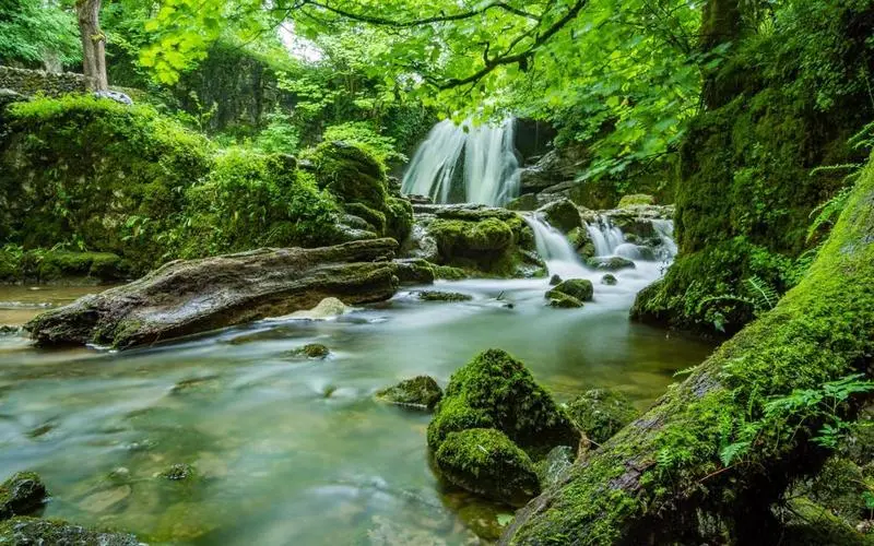 高标准高质量高标准